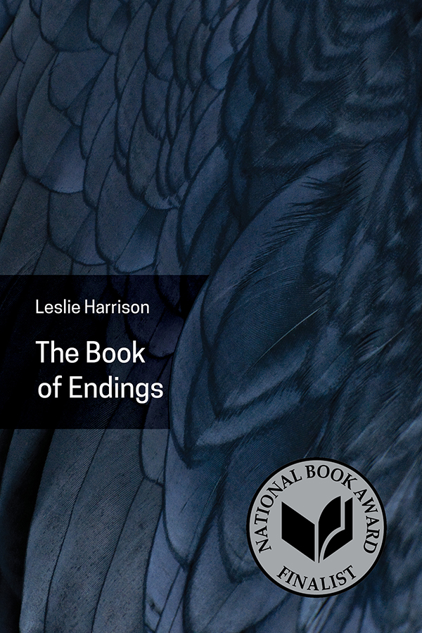 Cover of 'The Book of Endings'