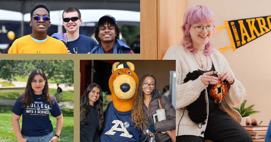 Intellectual Diversity website banner