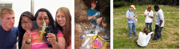 Akron biology students in the field, studying caves, geckos and plants