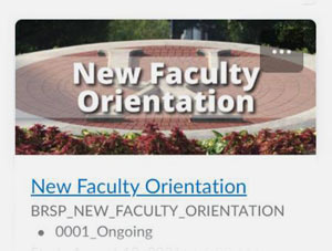 A tile showing New Faculty Orientation in Brightspace