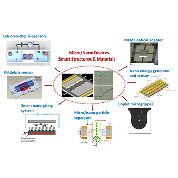 Micro Electro Mechanical Systems Lab