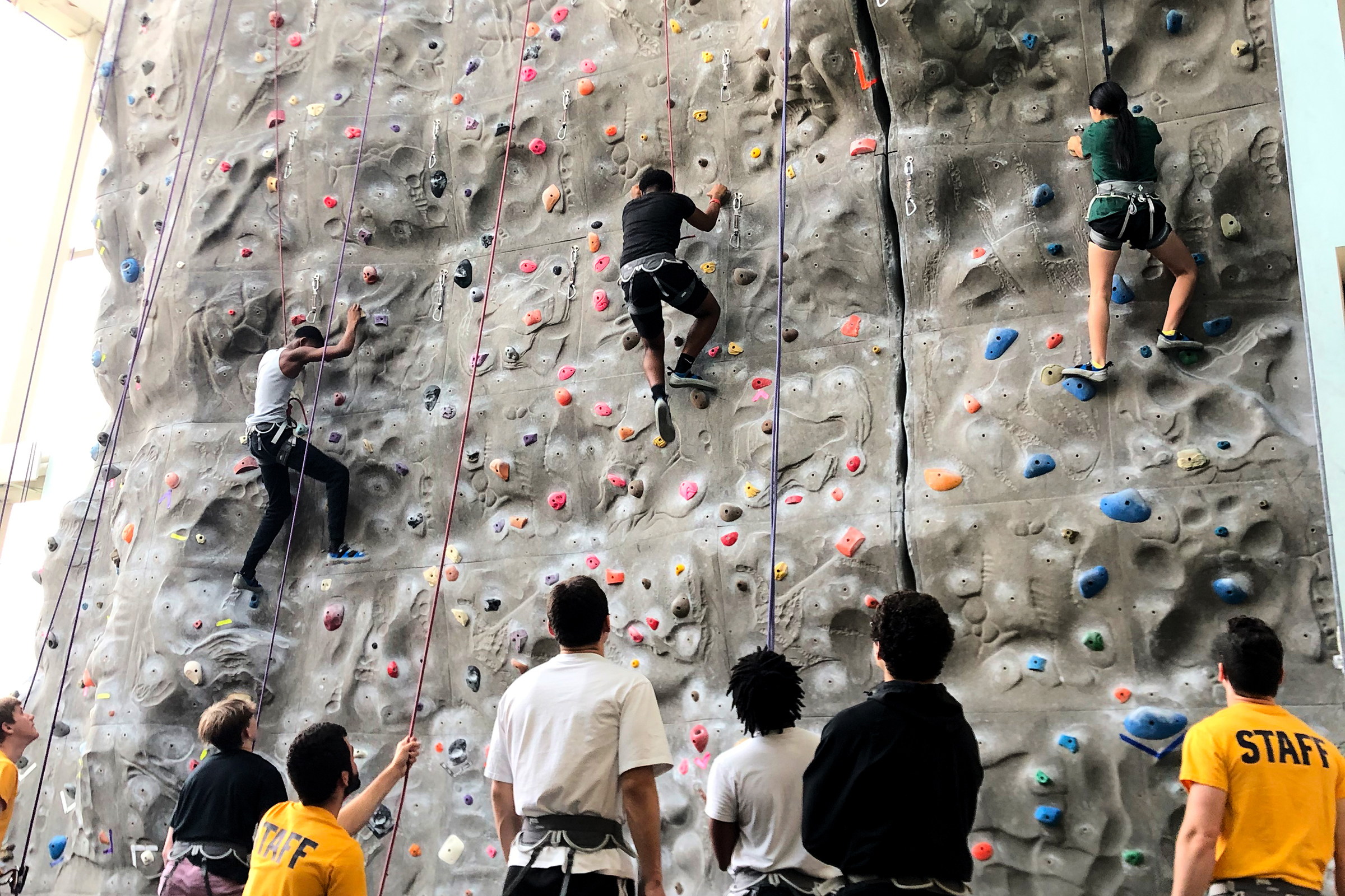 SEE students ascend the climbing wall in the Student Recreation and Wellness Center.