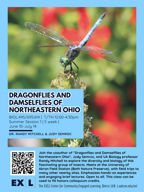 Dragonflies and damselfies of Northeastern Ohio [Un]Class