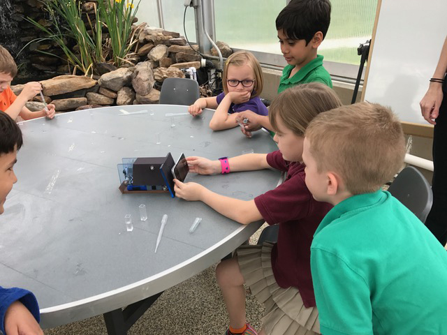 first-grade students using the spectrometer