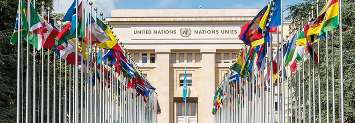 A government building with flags from multiple nations in front of it.