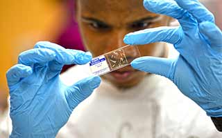 Criminology student looking closely at sample in lab