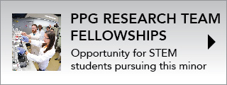 PPG Research Team Fellowships