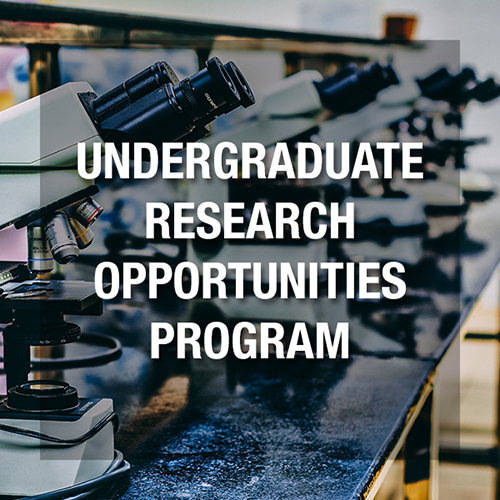 Undergraduate Research Opportunities Program (UROP)